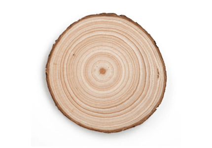 Bois 430x300